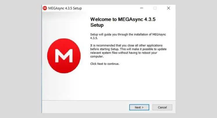 megasync install screen